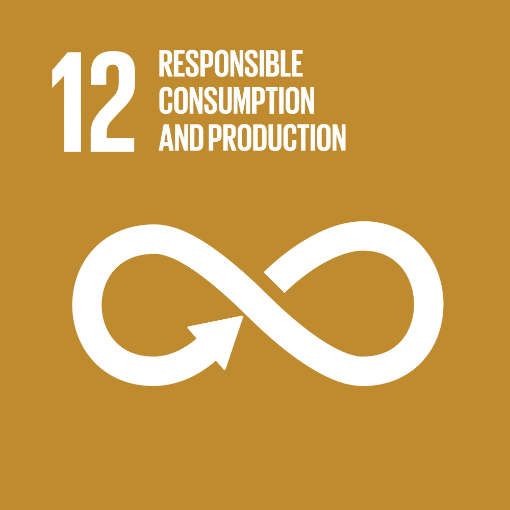 SDG 12: Responsible Consumption and Production